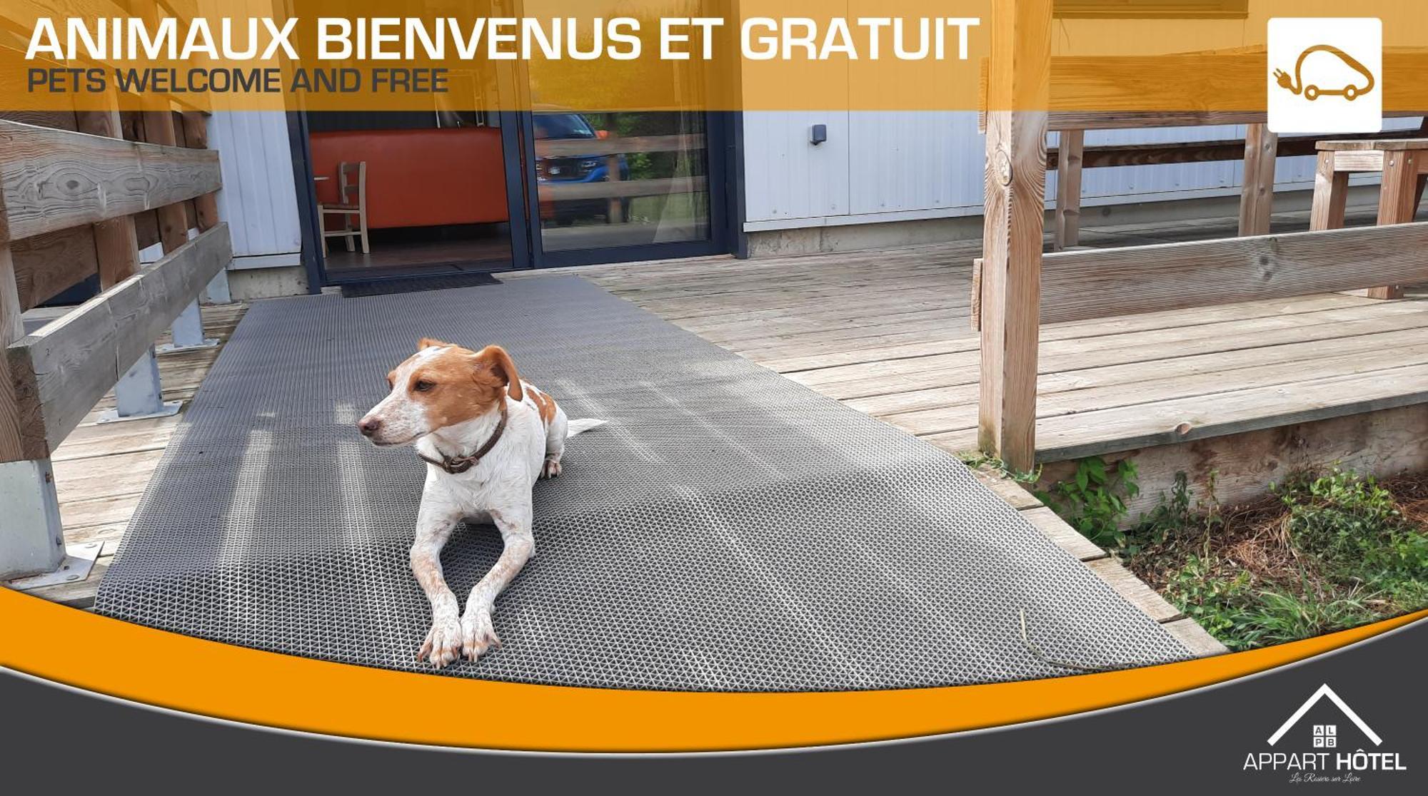 Appart'Hotel Les Pres Blondeau - 1 A 10 Personnes - 3 Chambres - Terrasse - Parking Prive - Wifi Les Rosiers Exterior foto